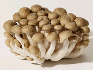 Ingrediente receita cogumelos shitake shimeji Stock Photo